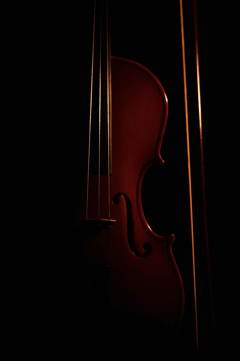 musical instrument brown violin with black background dominican republic